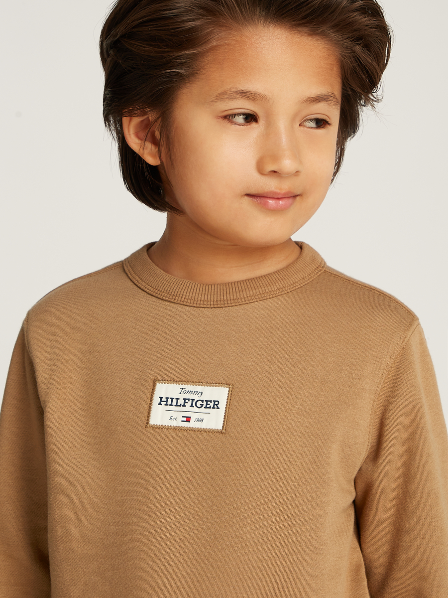 Sweater van het merk Tommy Jeans in het Bruin