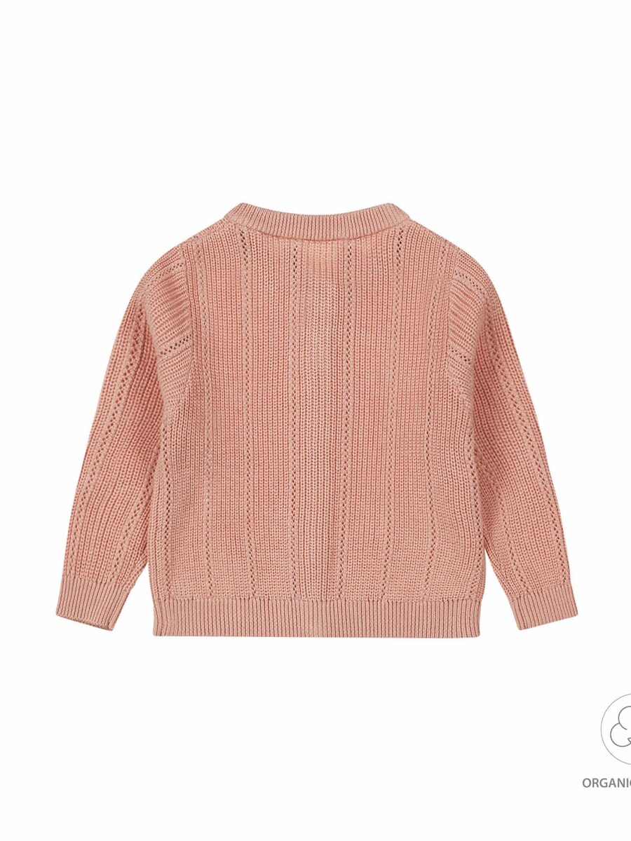 Cardigan van het merk Dirkje in het Roze
