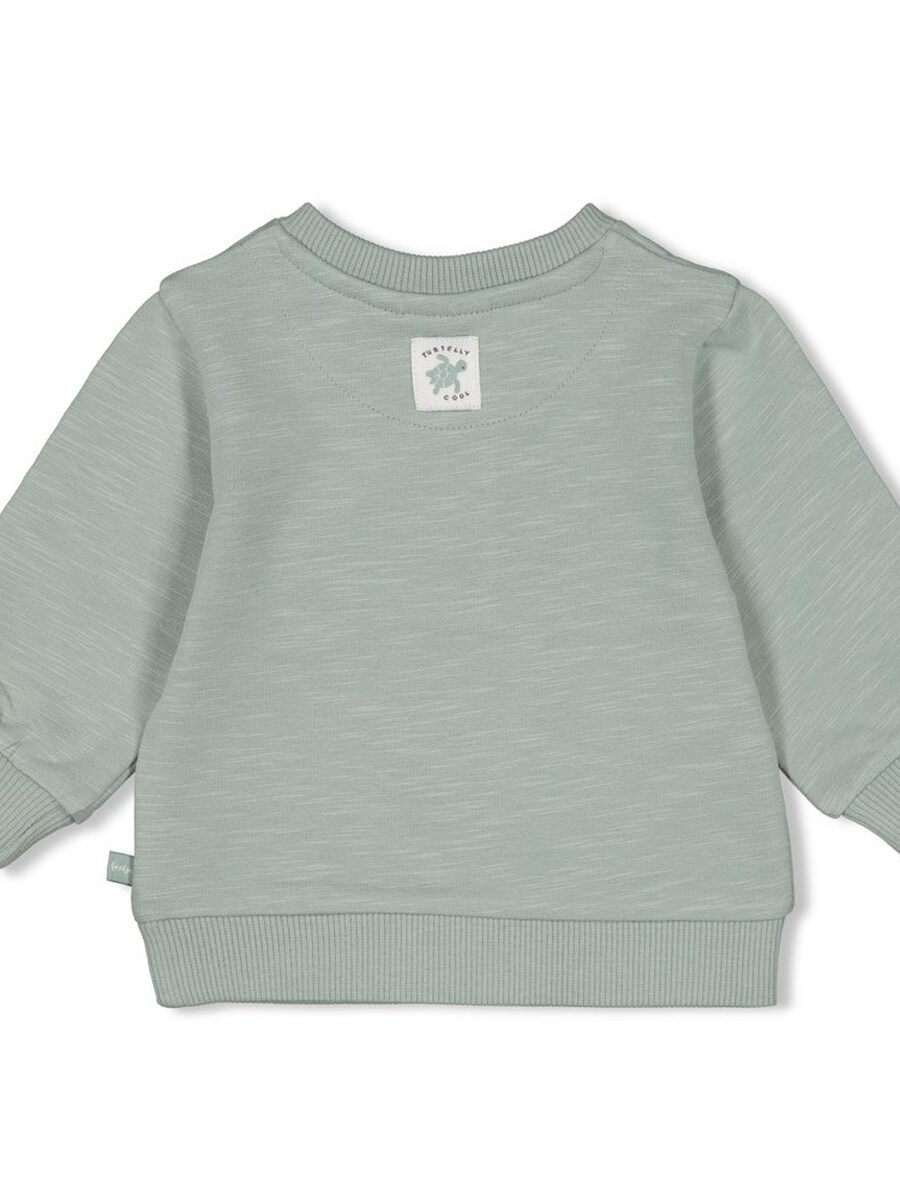 Sweater van het merk Feetje in het Groen