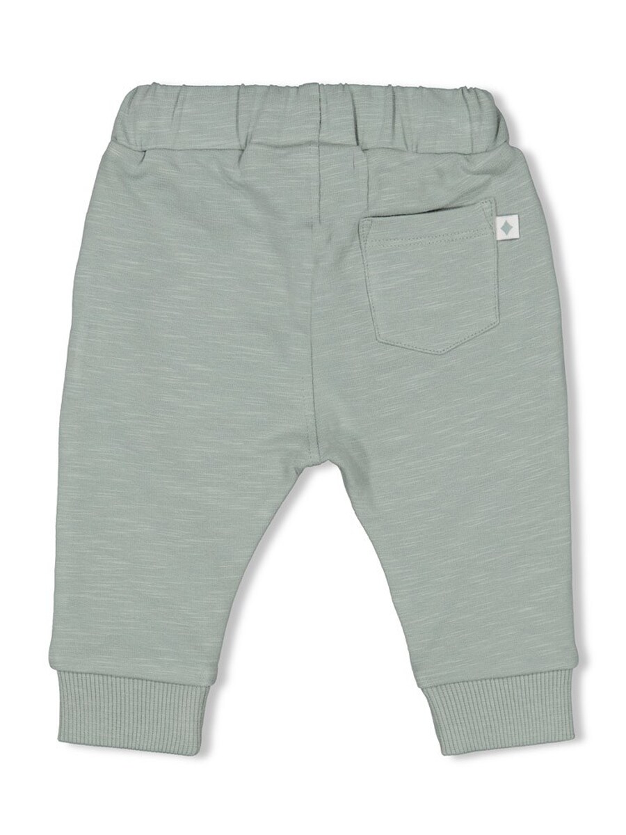 Broek van het merk Feetje in het Groen