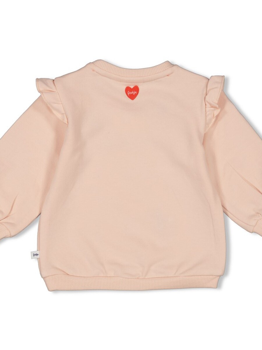 Sweater van het merk Feetje in het Roze