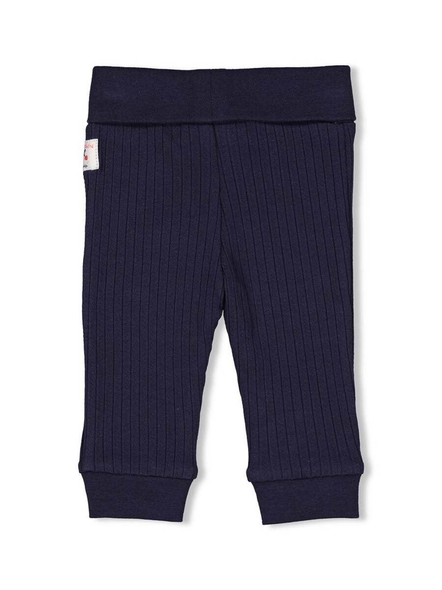 Broek van het merk Feetje in het Marine