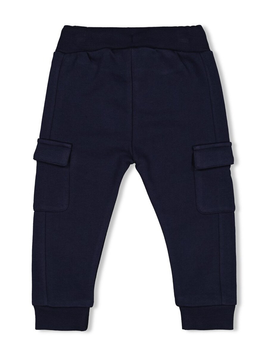 Broek van het merk Feetje in het Marine