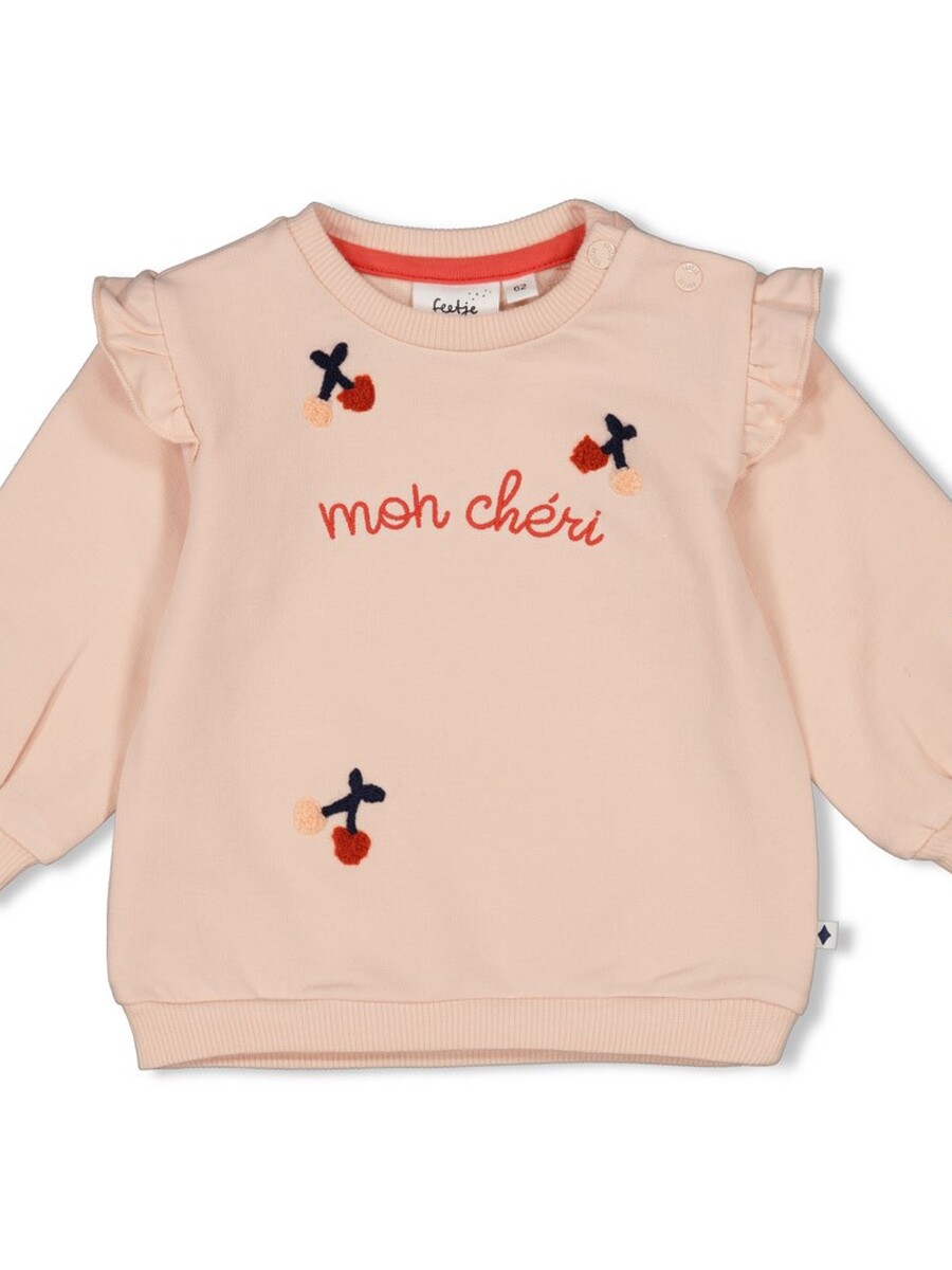 Sweater van het merk Feetje in het Roze