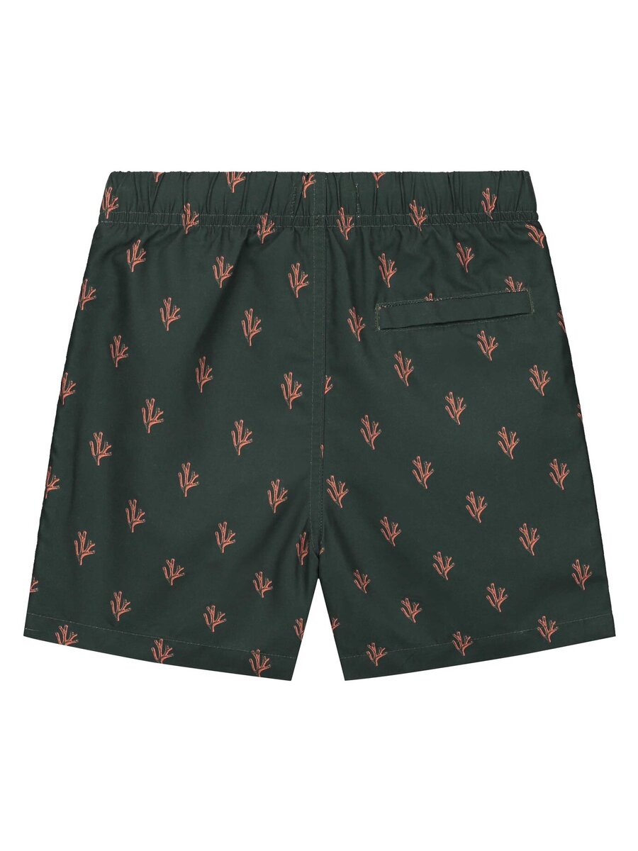 Zwemshort van het merk Shiwi in het Groen