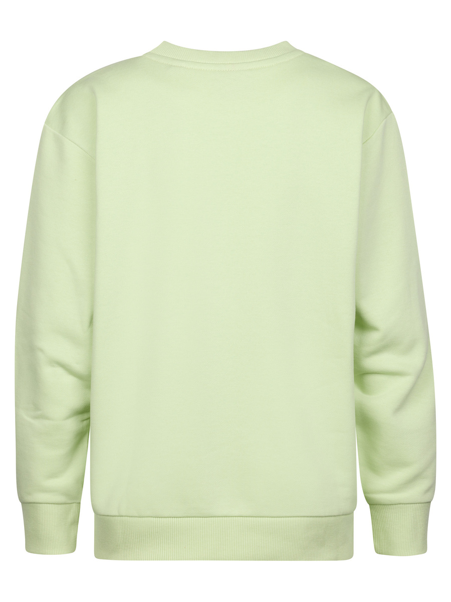 Sweater van het merk Petrol in het Groen