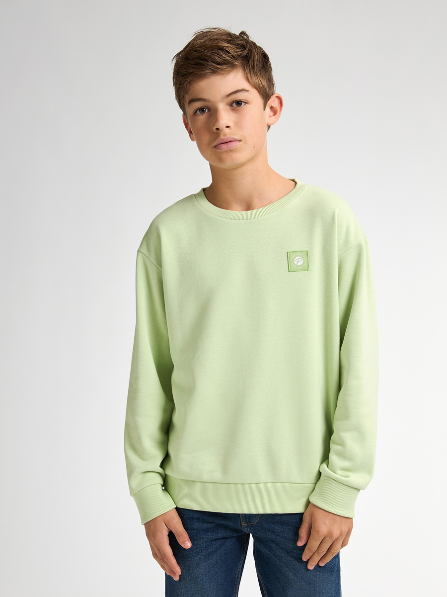Sweater van het merk Petrol in het Groen