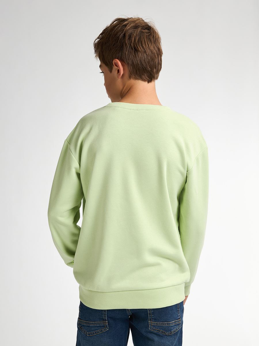 Sweater van het merk Petrol in het Groen