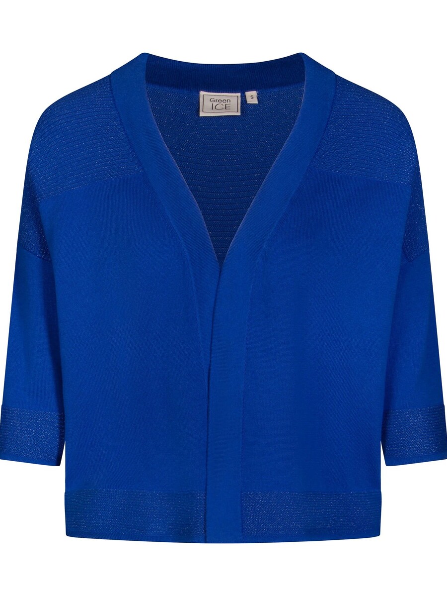 Pull van het merk Green Ice in het Blauw