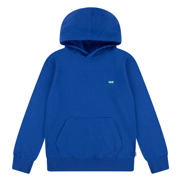 Sweater van het merk Levis Kids in het Blauw