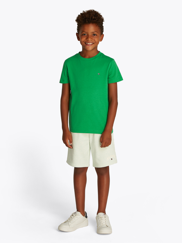 T-shirt van het merk Tommy Jeans in het Groen