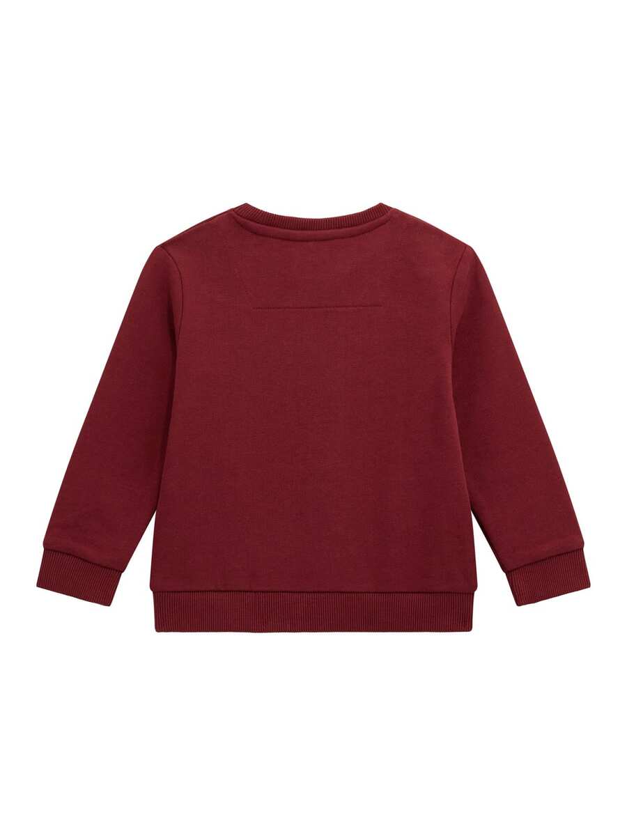 Sweater van het merk Guess in het Bordeaux