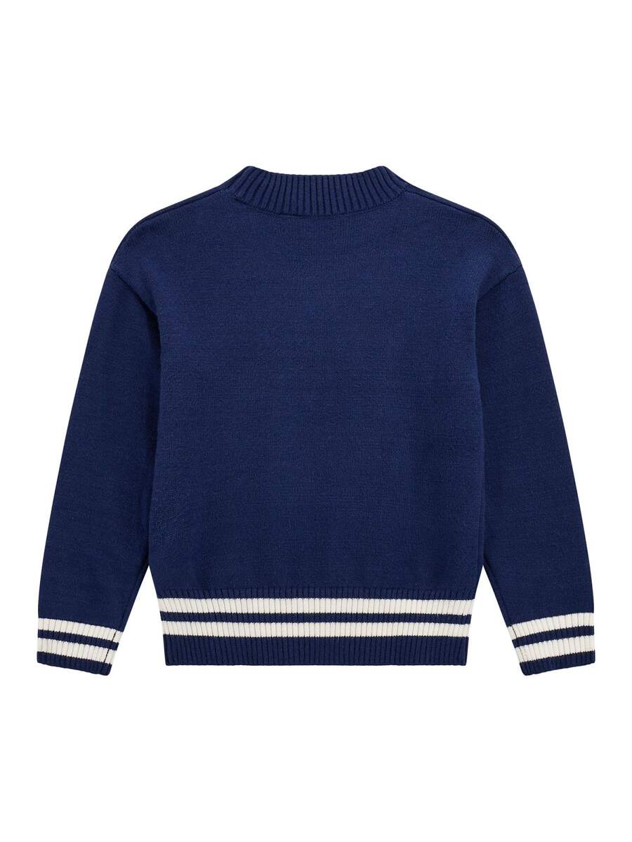 Pull van het merk Guess in het Blauw