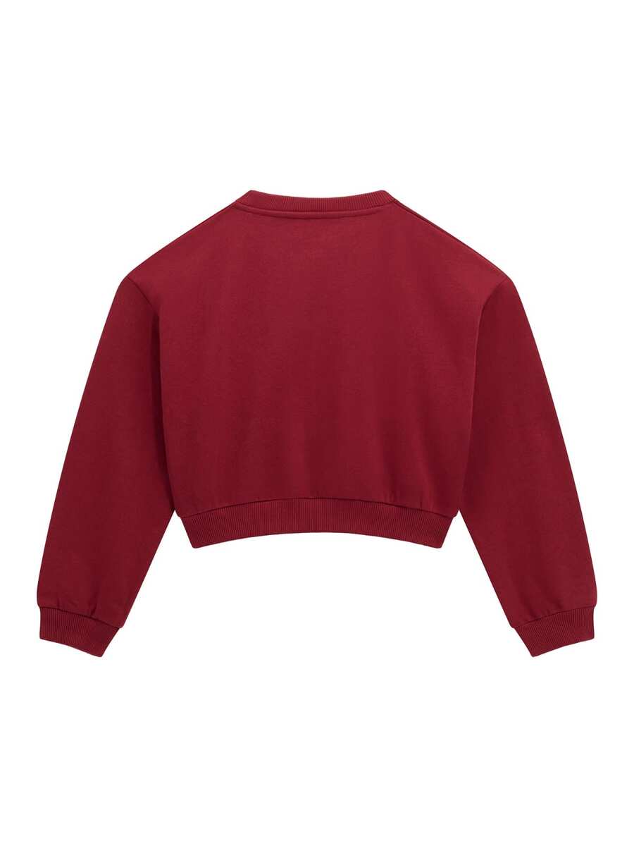 Pull van het merk Guess in het Rood