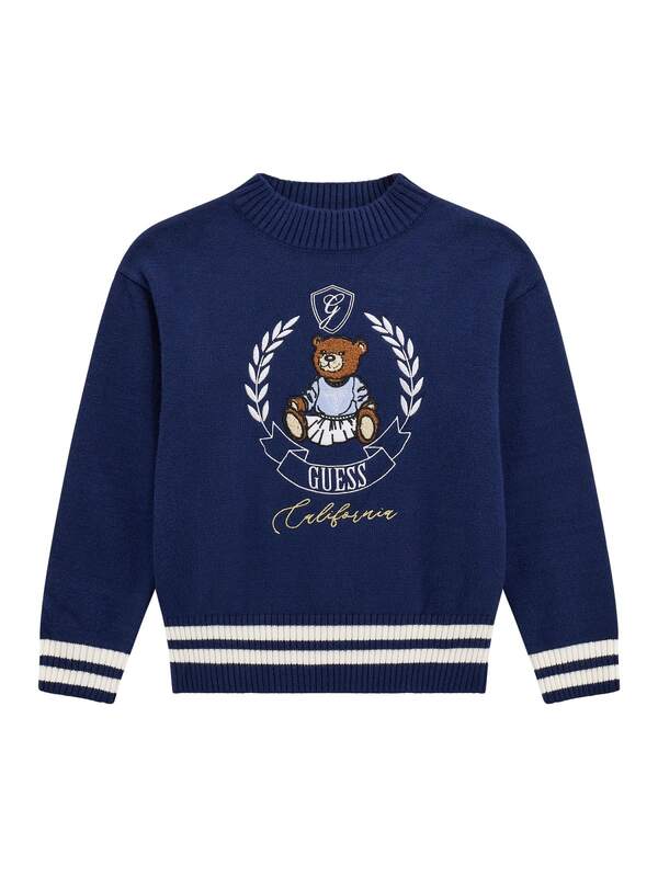 Pull van het merk Guess in het Blauw
