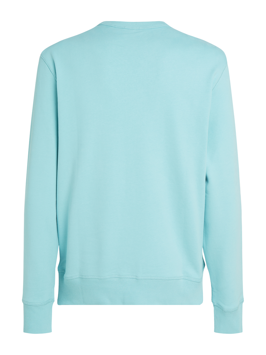 Pull van het merk Calvin Klein in het Blauw