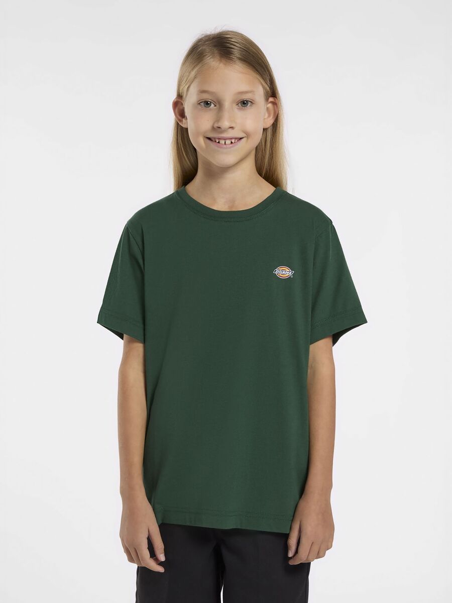 T-shirt van het merk Dickies in het Groen