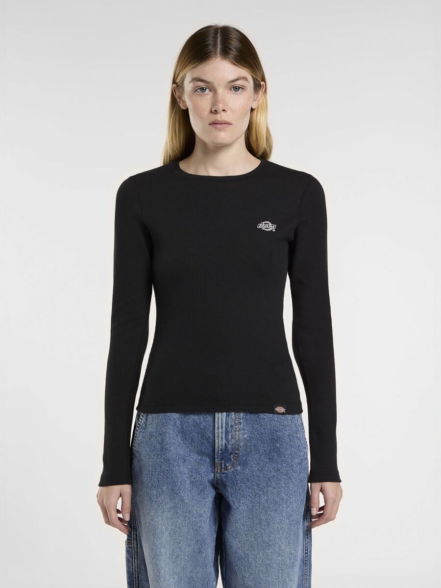 T-shirt van het merk Dickies in het Zwart