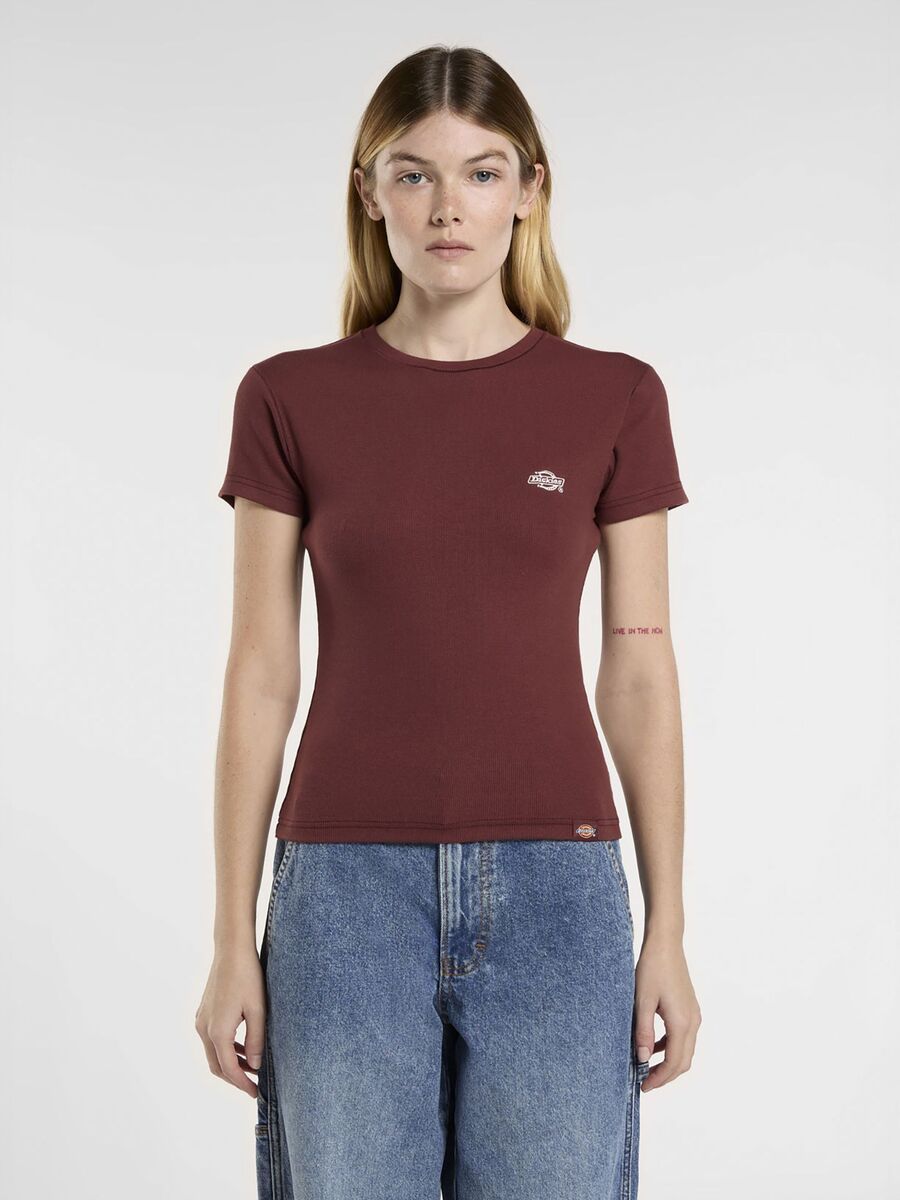 T-shirt van het merk Dickies in het Bordeaux