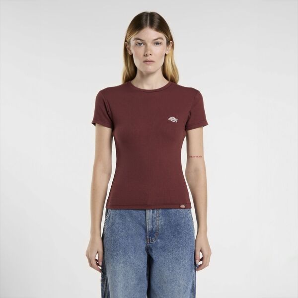 T-shirt van het merk Dickies in het Bordeaux