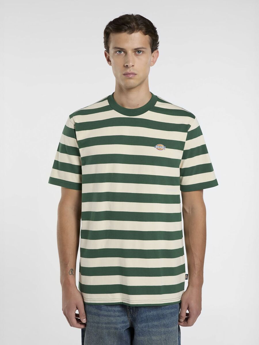 T-shirt van het merk Dickies in het Groen