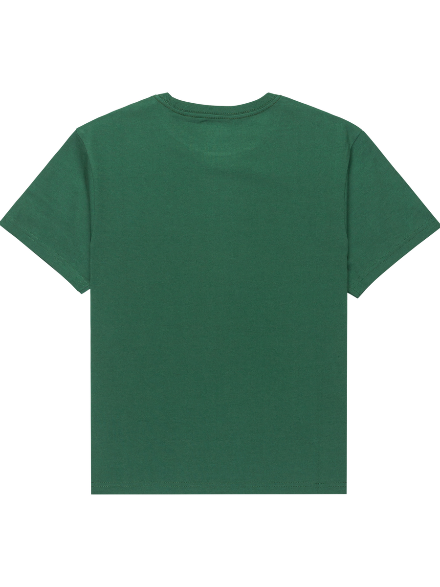 T-shirt van het merk Element in het Groen