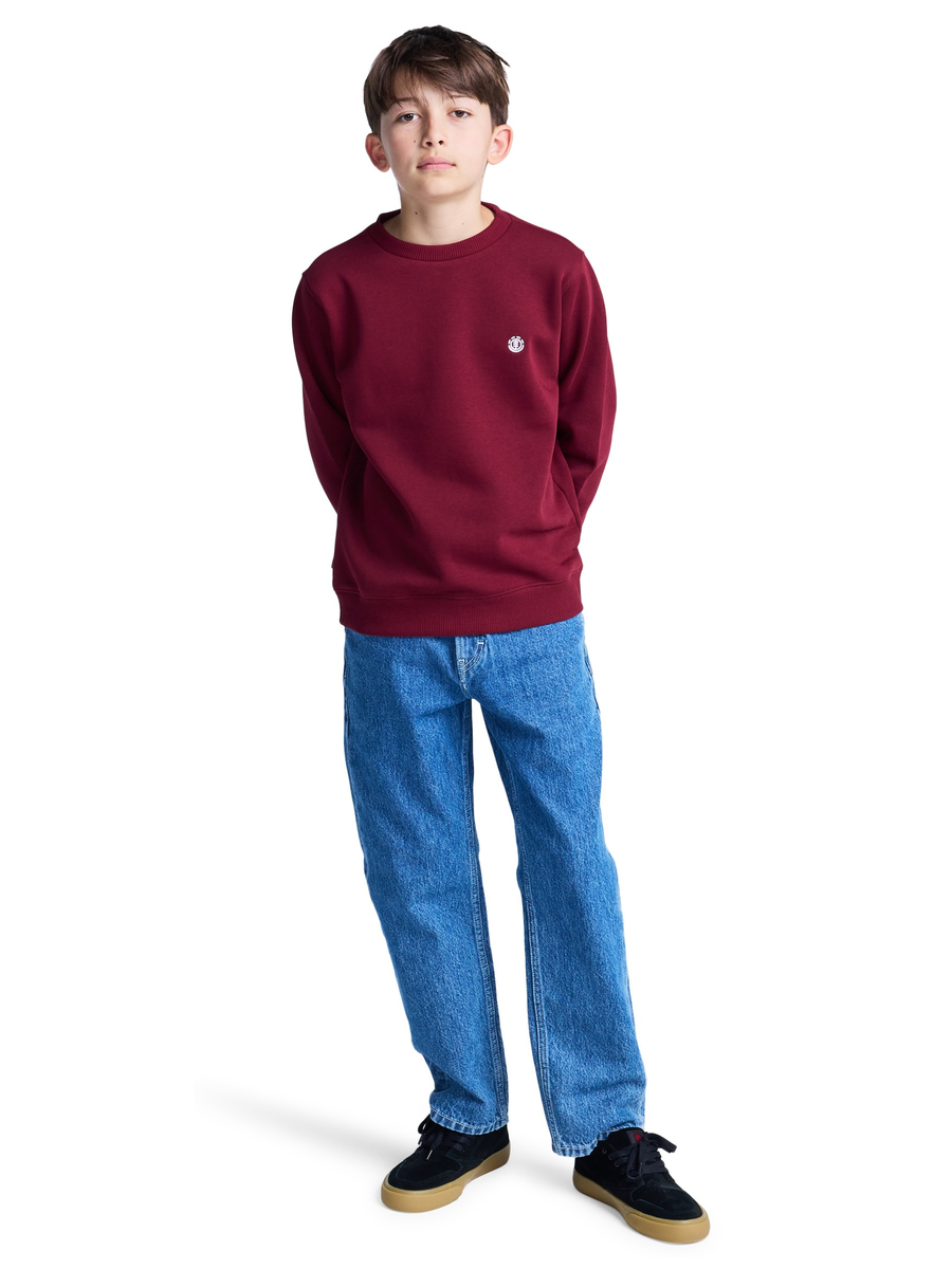 Sweater van het merk Element in het Bordeaux