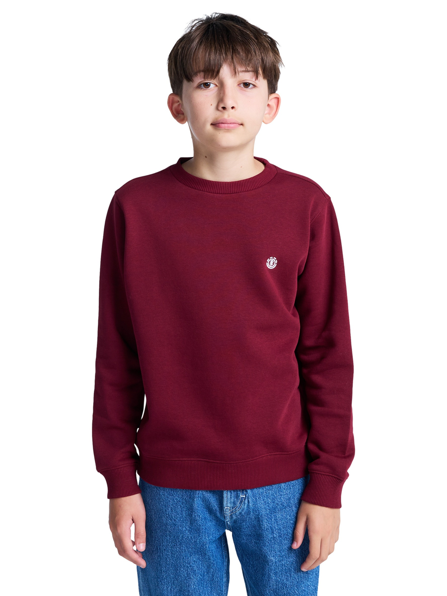 Sweater van het merk Element in het Bordeaux