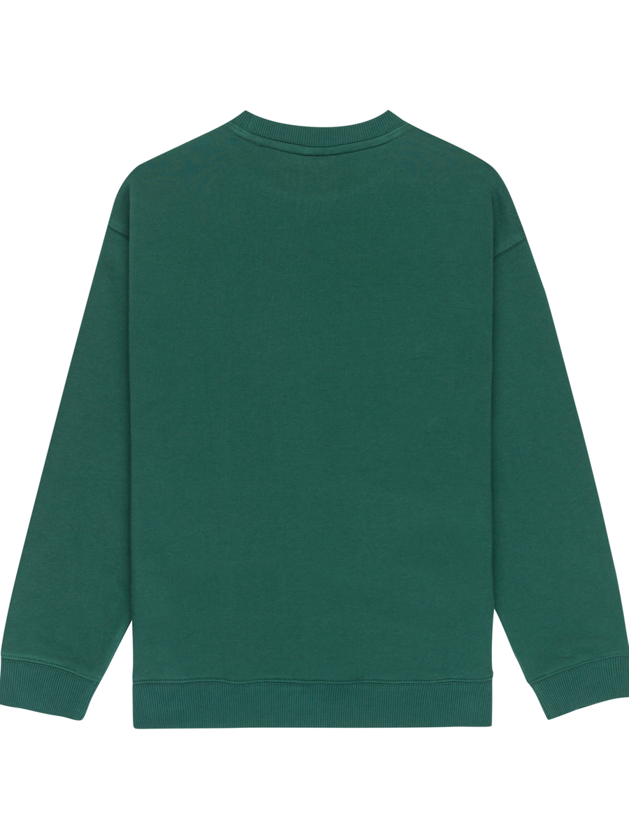 Sweater van het merk Element in het Groen