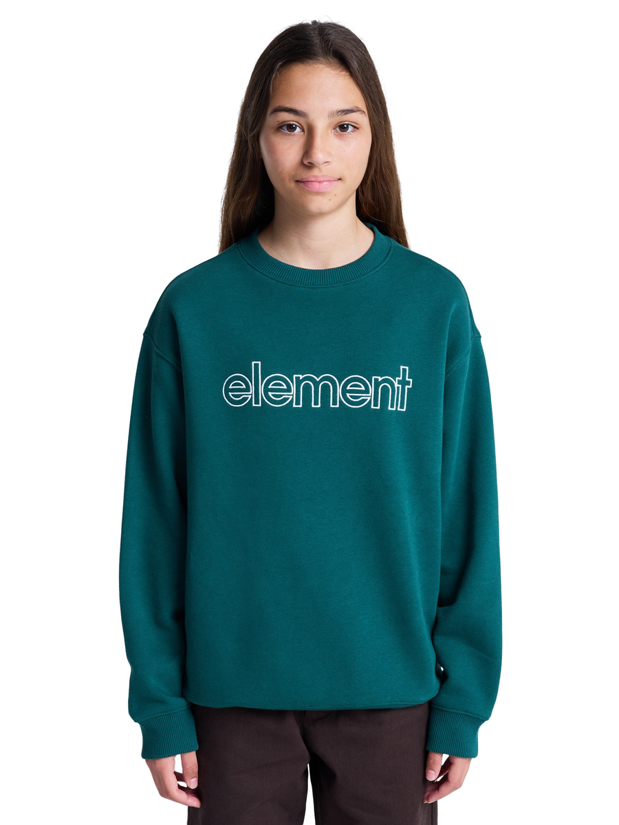 Sweater van het merk Element in het Groen