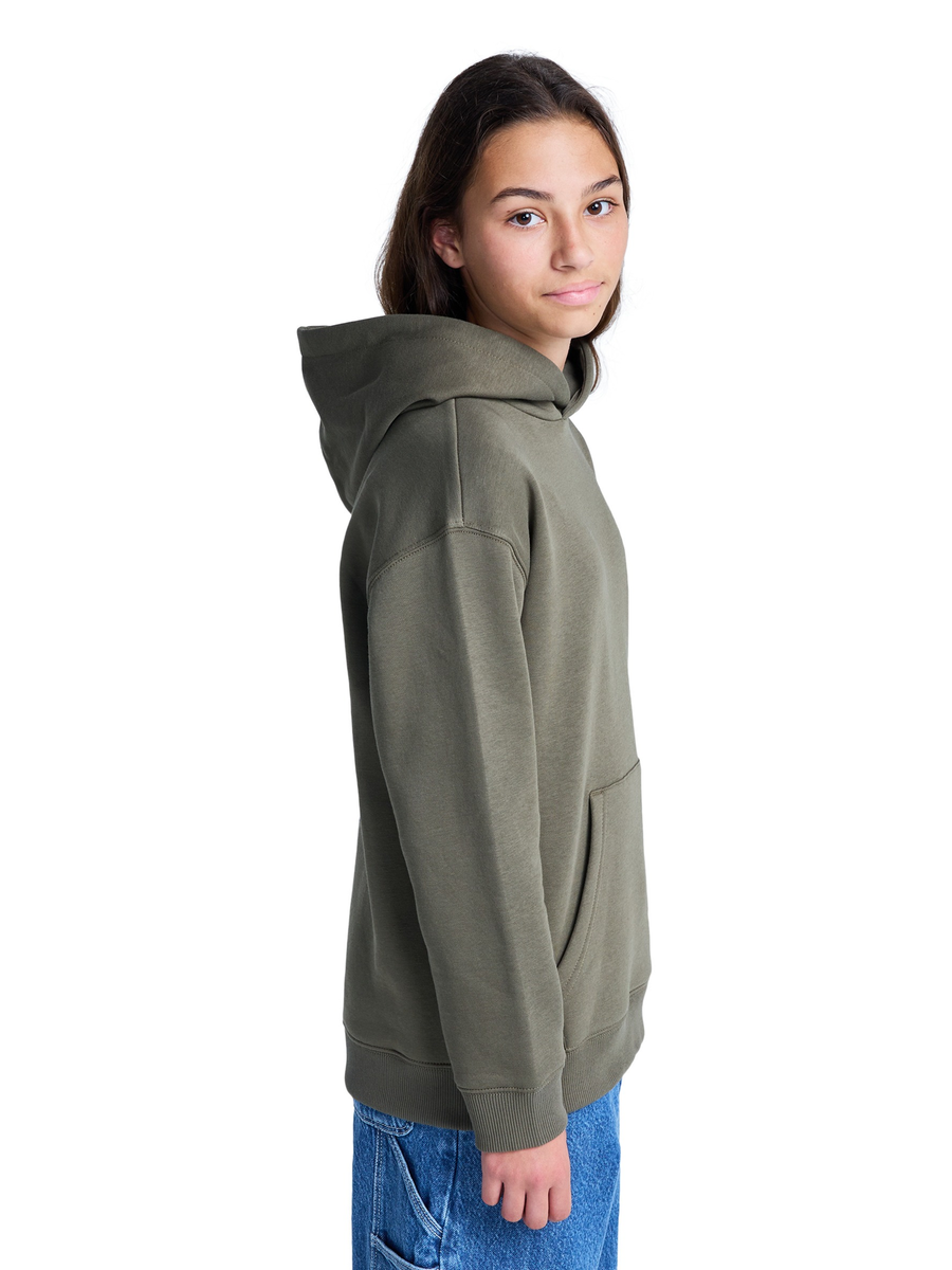 Pull van het merk Element in het Kaki