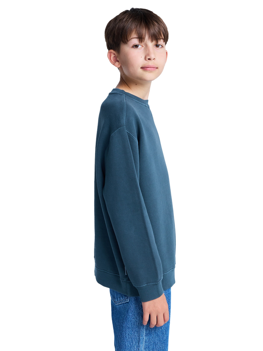 Sweater van het merk Element in het Blauw