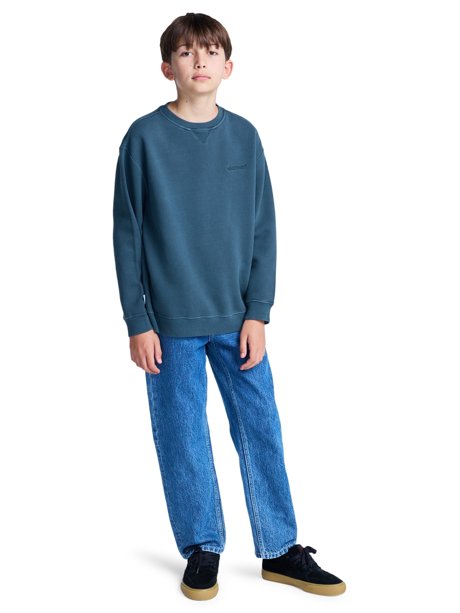 Sweater van het merk Element in het Blauw
