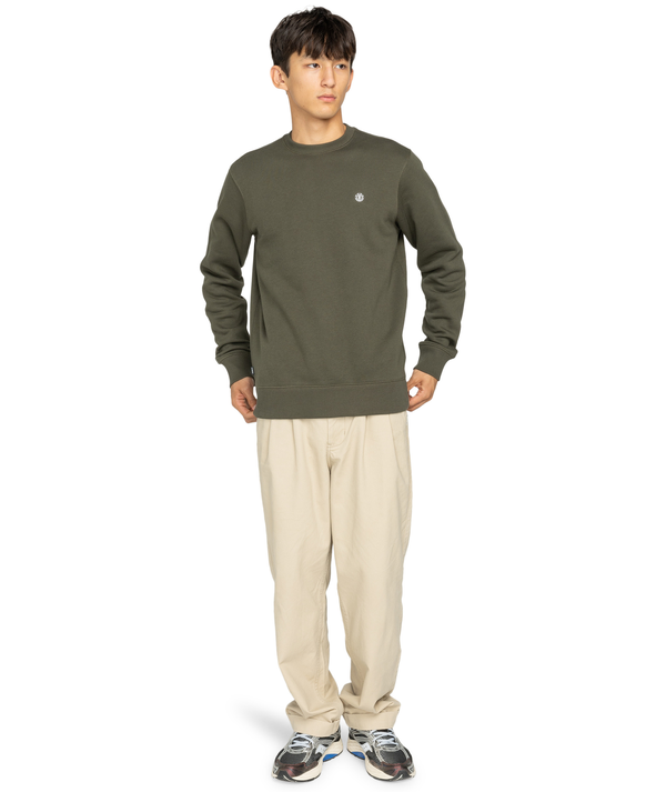 Sweater van het merk Element in het Groen