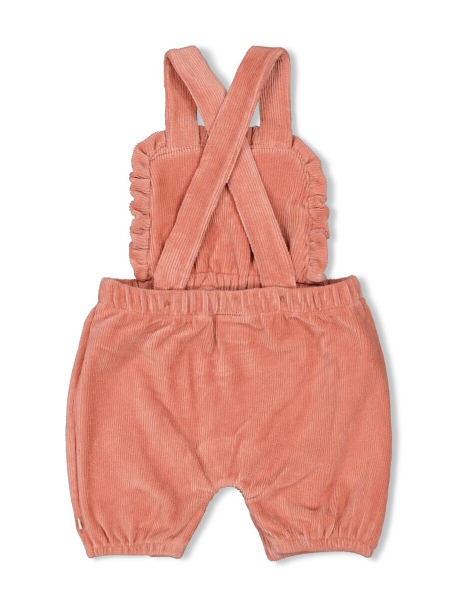 Broek van het merk Feetje in het Roze
