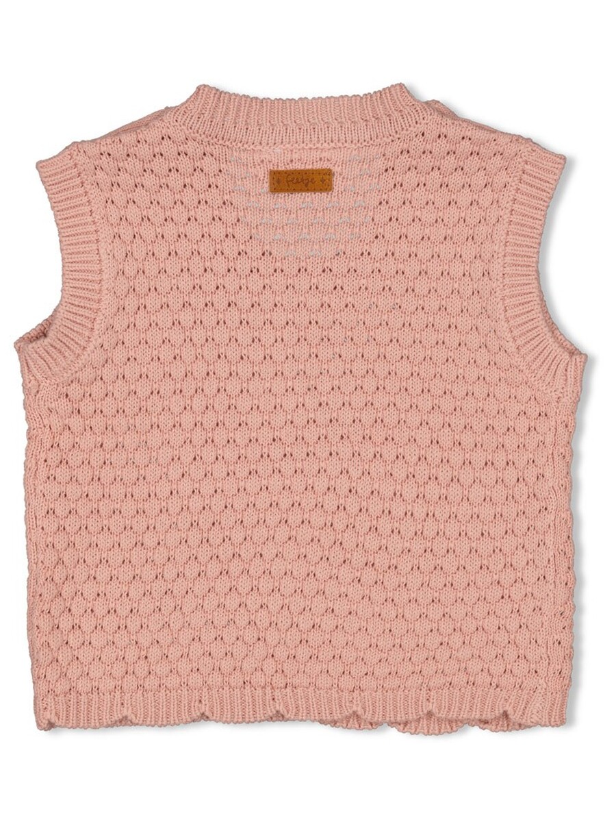 Pull van het merk Feetje in het Roze