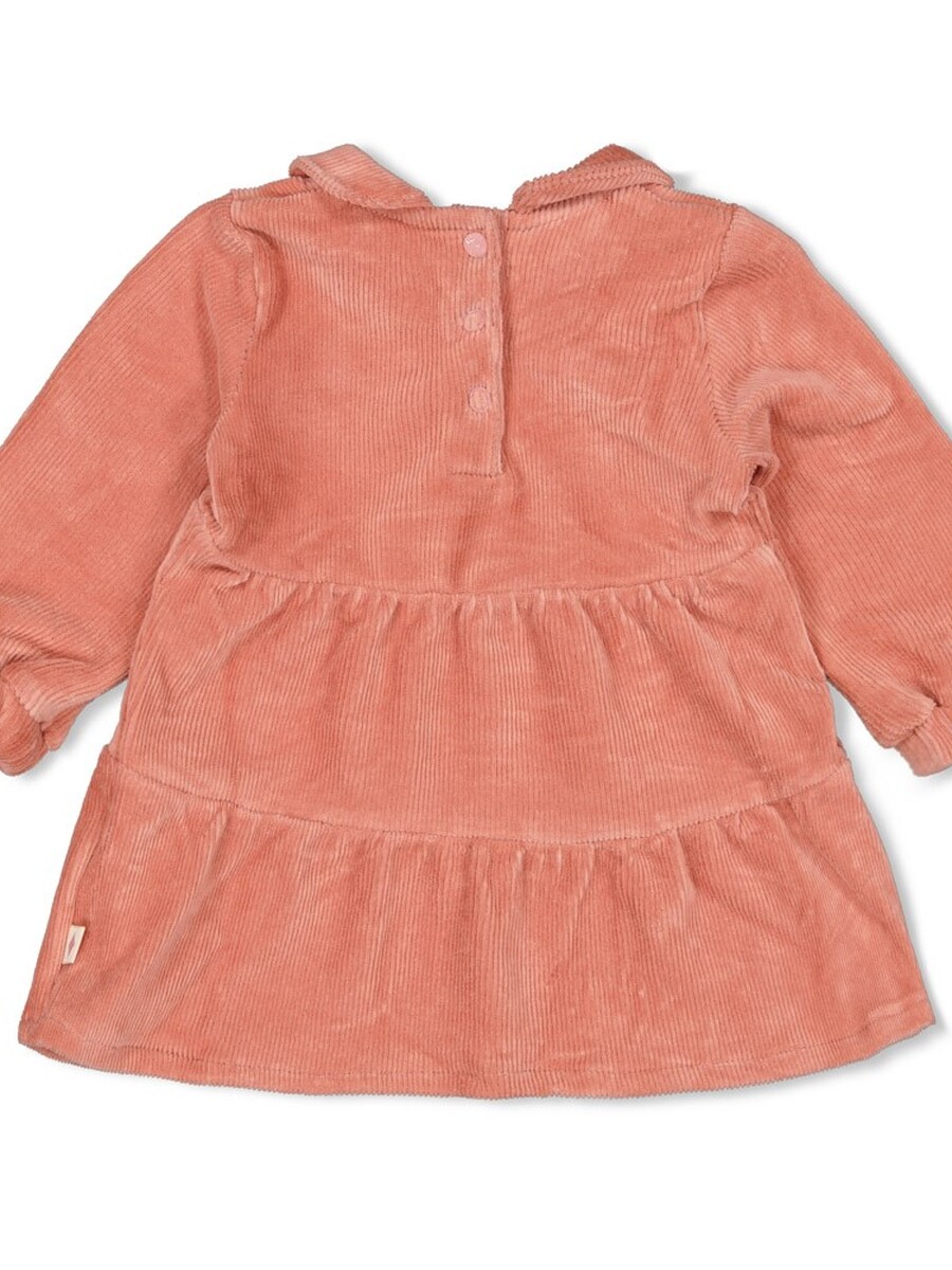 Kleed van het merk Feetje in het Roze