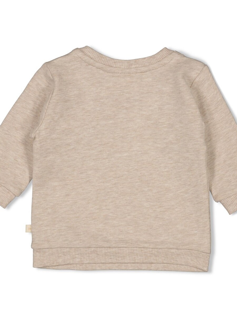 Sweater van het merk Feetje in het Beige