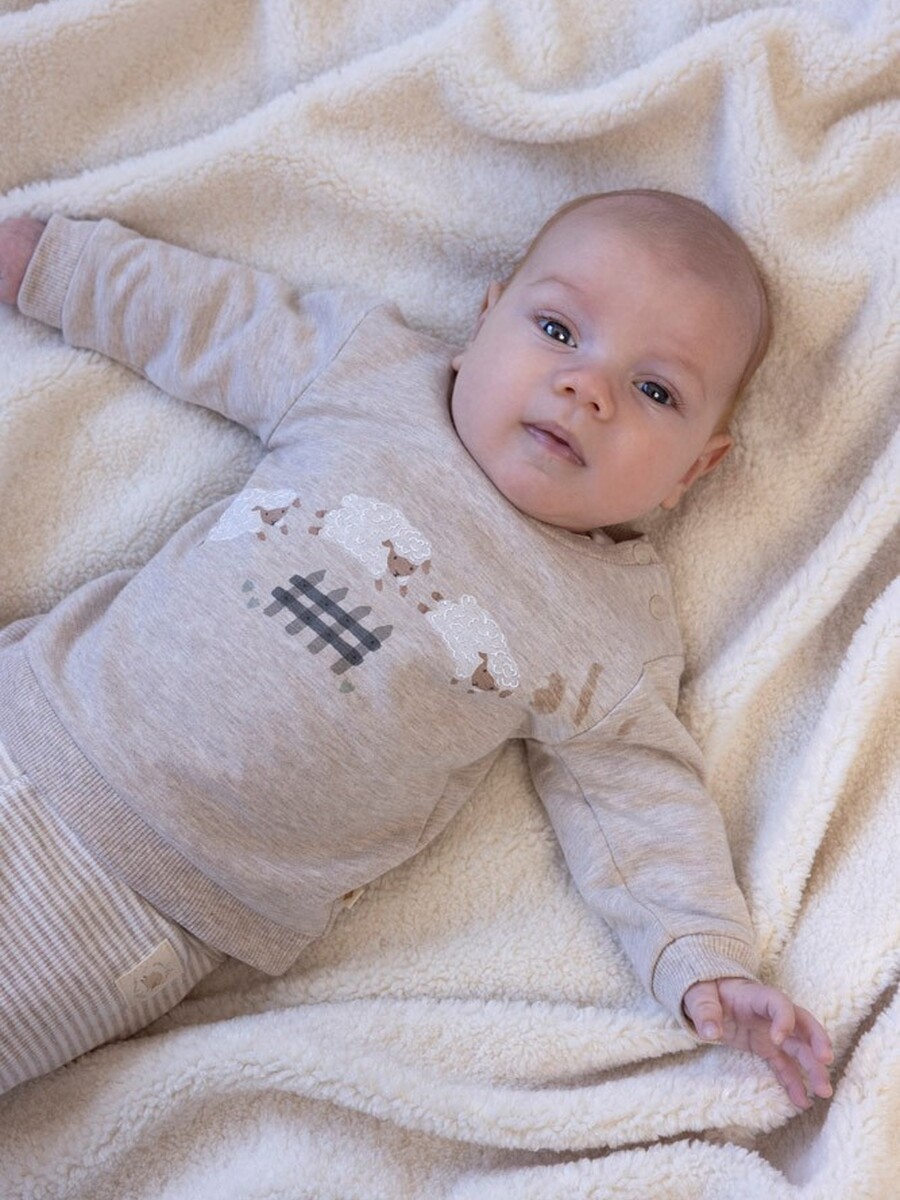 Sweater van het merk Feetje in het Beige