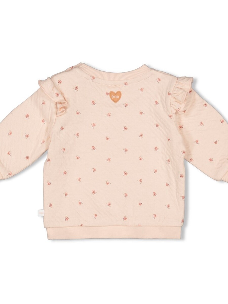 Sweater van het merk Feetje in het Roze
