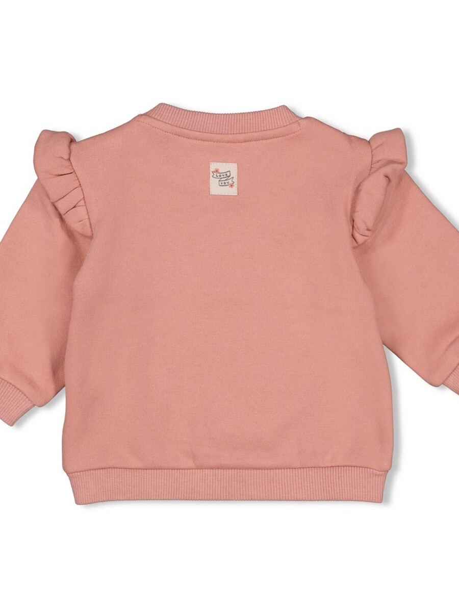 Sweater van het merk Feetje in het Roze