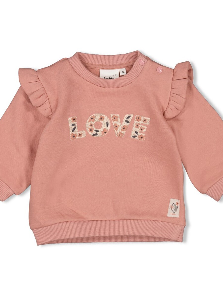 Sweater van het merk Feetje in het Roze