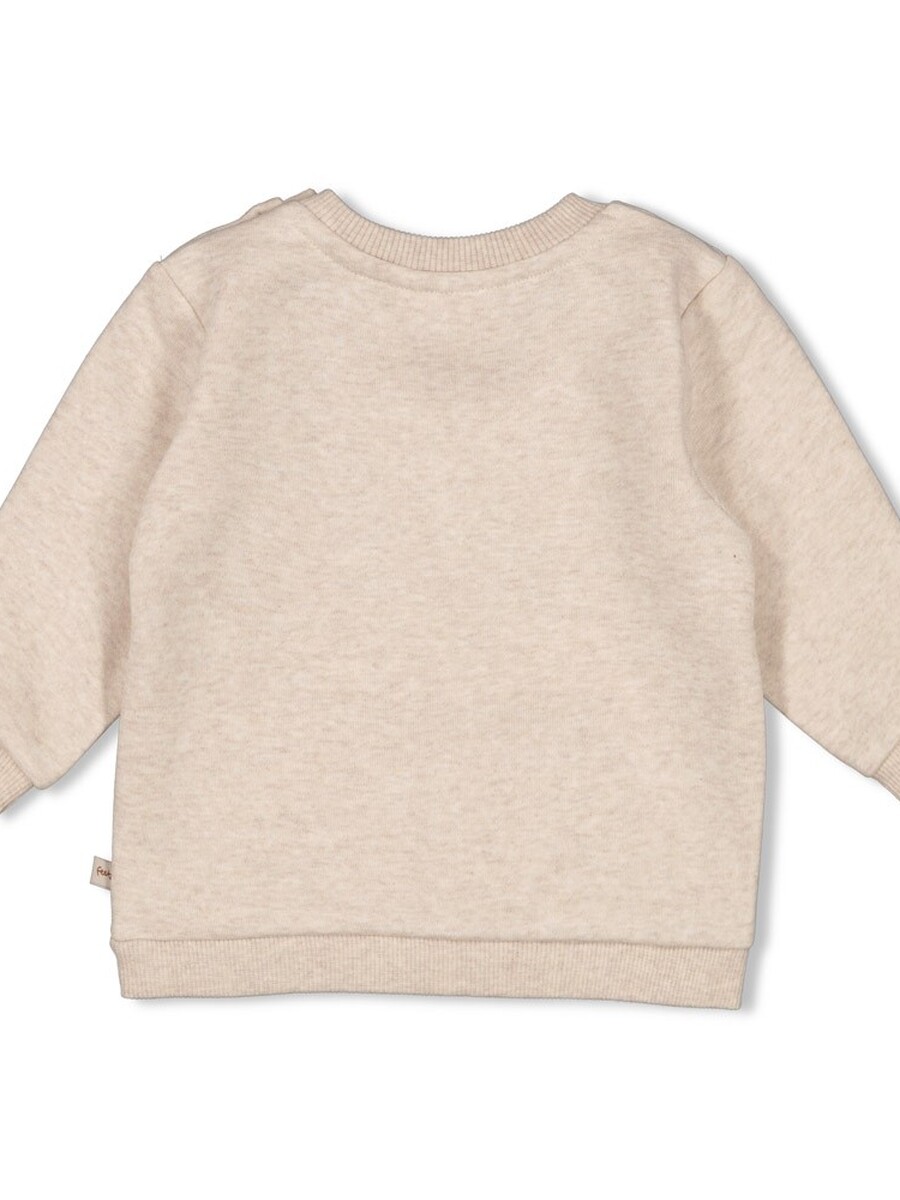 Sweater van het merk Feetje in het Beige