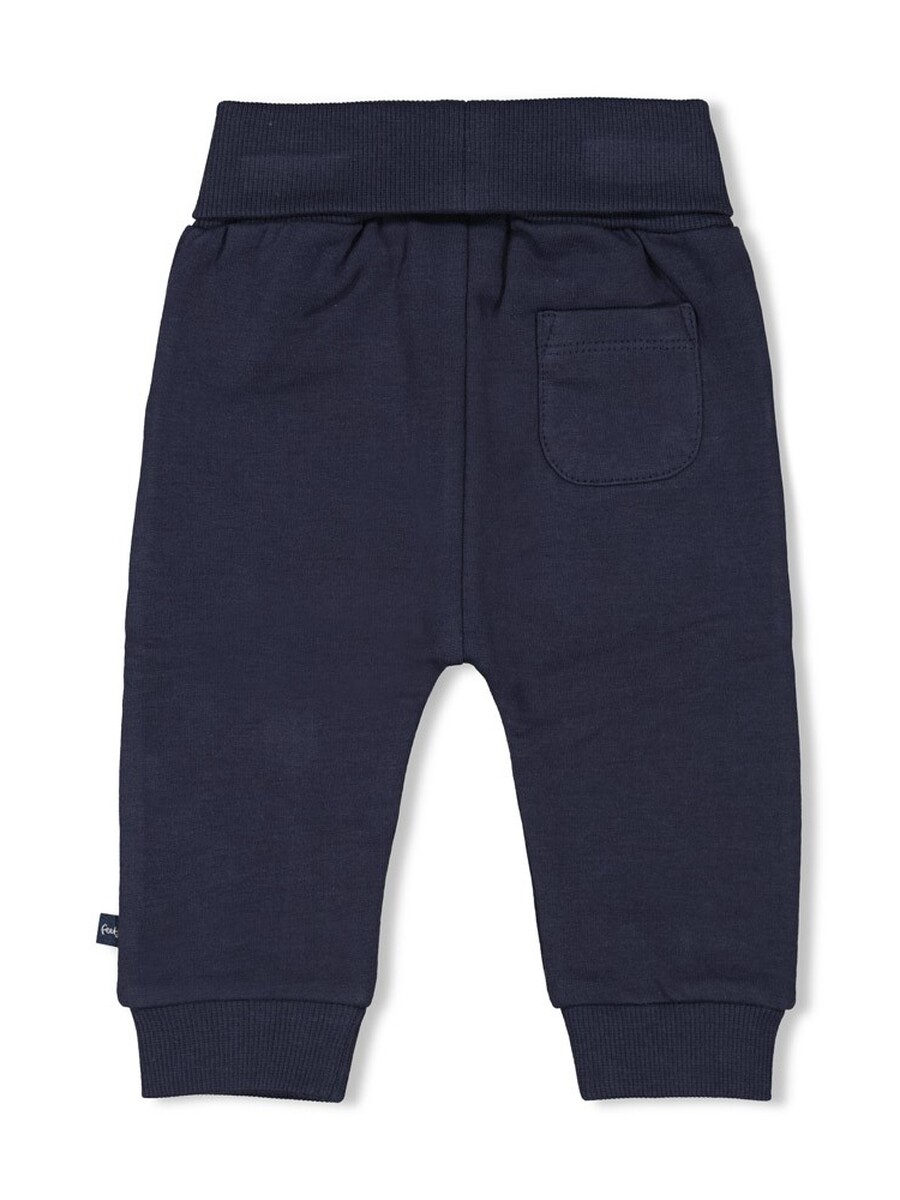 Broek van het merk Feetje in het Marine