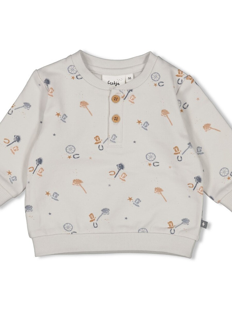 Sweater van het merk Feetje in het Blauw