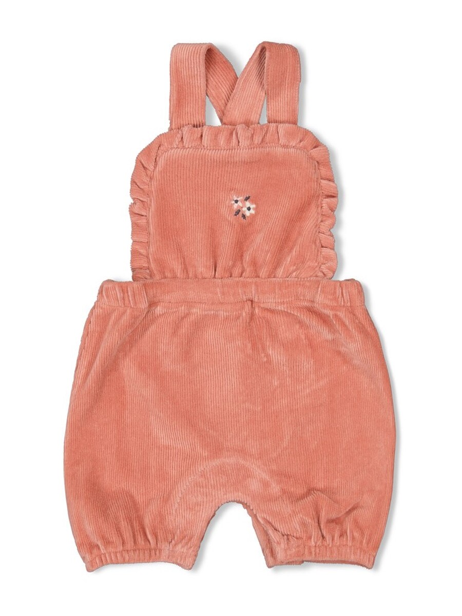 Broek van het merk Feetje in het Roze