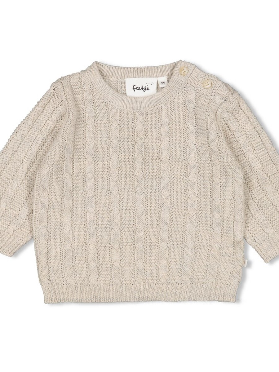 Sweater van het merk Feetje in het Beige