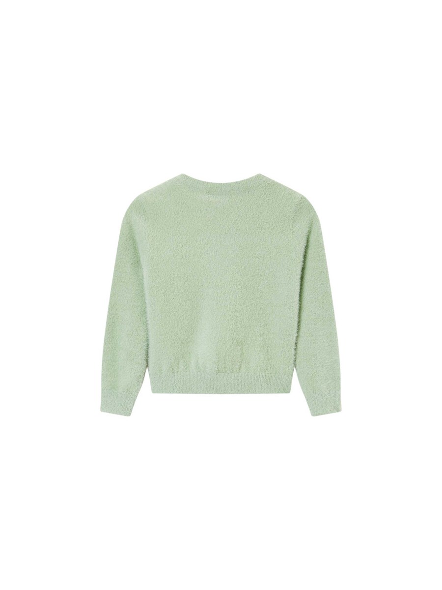 Pull van het merk Someone in het Groen