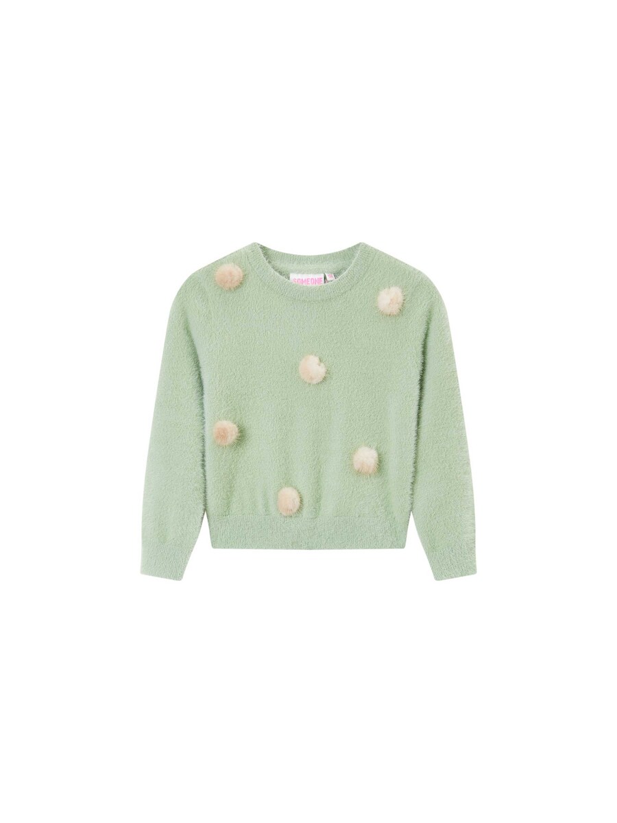 Pull van het merk Someone in het Groen