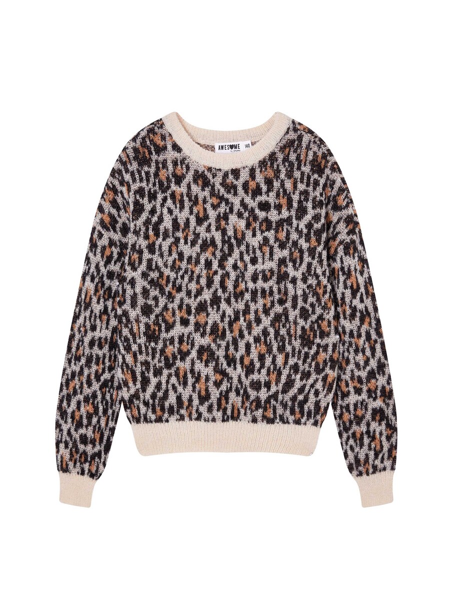 Pull van het merk Awesome in het Beige